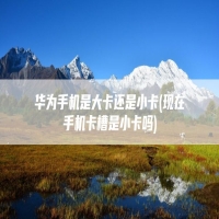 华为手机是大卡还是小卡(现在手机卡槽是小卡吗)