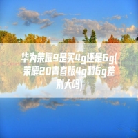 华为荣耀9是买4g还是6g(荣耀20青春版4g和6g差别大吗)