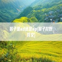 猴子是ad还是ap(猴子打野符文)