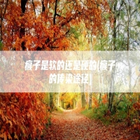 瘊子是软的还是硬的(瘊子的传染途径)