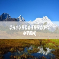 华兴小学是公办还是民办(兴华小学图片)