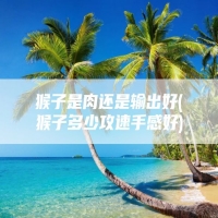 猴子是肉还是输出好(猴子多少攻速手感好)