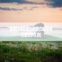 还是白细胞是白细胞(白细胞和白血球的区别)