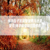 怀孕在子宫前壁是男孩还是女孩(怀孕前壁和后壁的区别)