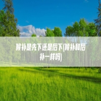 候补是先下还是后下(候补和后补一样吗)