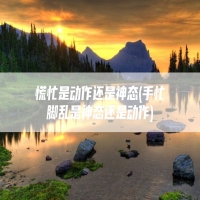 慌忙是动作还是神态(手忙脚乱是神态还是动作)