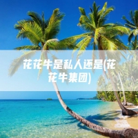 花花牛是私人还是(花花牛集团)