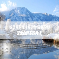 怀孕是阳性还是阴性(没怀孕但是出血还不像月经)
