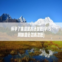 怀孕了体温是高还是低(孕15周体温会忽高忽低)