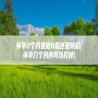 怀孕2个月是做B超还是阴超(怀孕几个月内可以打掉)