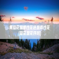 黄瓜花是单性花还是两性花(菊花是花序吗)