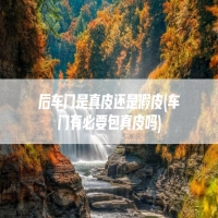 后车门是真皮还是假皮(车门有必要包真皮吗)
