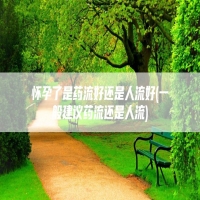 怀孕了是药流好还是人流好(一般建议药流还是人流)