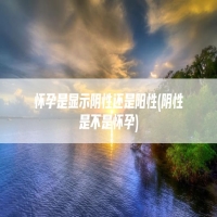 怀孕是显示阴性还是阳性(阴性是不是怀孕)