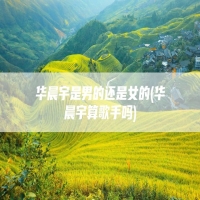 华晨宇是男的还是女的(华晨宇算歌手吗)