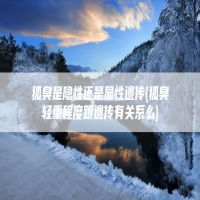 狐臭是隐性还是显性遗传(狐臭轻重程度跟遗传有关系么)