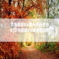 华为荣耀6x是大卡还是小卡(华为荣耀20青春版参数)