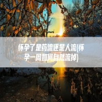 怀孕了是药流还是人流(怀孕一周如何自然流掉)
