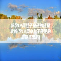 怀孕12周肚子是硬的还是软的(孕12周小肚子硬硬的感觉正常吗)