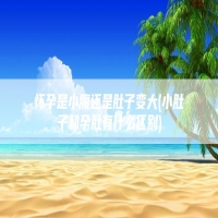 怀孕是小腹还是肚子变大(小肚子和孕肚有什么区别)