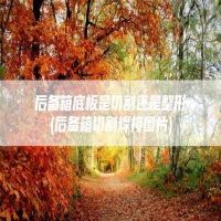 后备箱底板是切割还是整形(后备箱切割焊接图片)