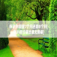 怀孕31周是7个月还是8个月(孕31周少量出血无腹痛)