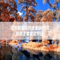 花岗岩是酸性还是碱性(花岗岩主要鉴定特征)