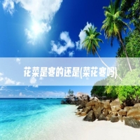 花菜是寒的还是(菜花寒吗)