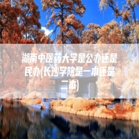 湖南中医药大学是公办还是民办(长沙学院是一本还是二本)
