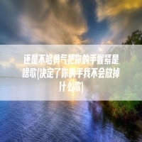 还是不够勇气把你的手握紧是啥歌(决定了你的手我不会放掉什么歌)