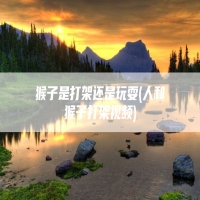 猴子是打架还是玩耍(人和猴子打架视频)