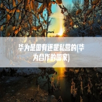 华为是国有还是私营的(华为合作的国家)