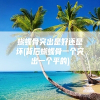 蝴蝶骨突出是好还是坏(背后蝴蝶骨一个突出一个平的)