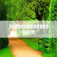 花生是热性还是凉(枇杷是热性还是凉性)