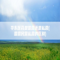 华东医药是国营还是私营(国营民营私营的区别)