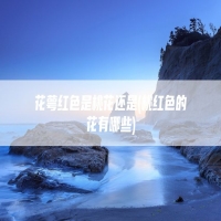 花萼红色是桃花还是(桃红色的花有哪些)