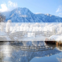 葫芦瓜是凉性还是热性(葫芦瓜图片)