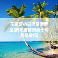 花呗是小贷还是消费金融(花呗借呗属于消费金融吗)