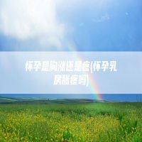 怀孕是胸涨还是疼(怀孕乳房胀疼吗)