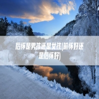 后怀是男孩还是女孩(前怀好还是后怀好)