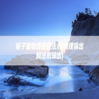 猴子是物理还是法术(物理输出和法术输出)
