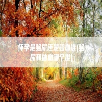 怀孕是验尿还是验血准(验尿和抽血哪个准)